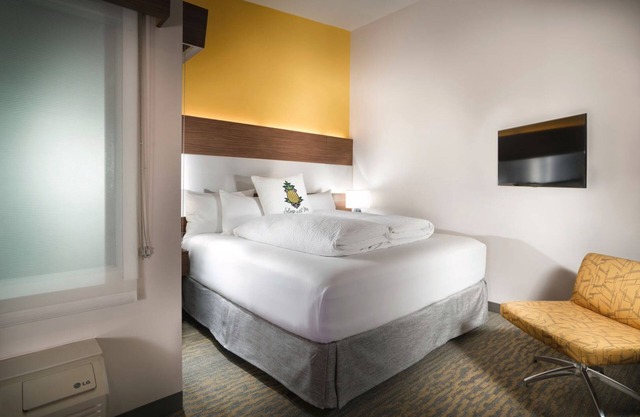 Z King, Hotel Z, Bright Decor, Free Bike Usage, Heart of Gaslamp Quarter