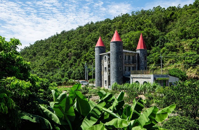 Zum Adler Castle B&B