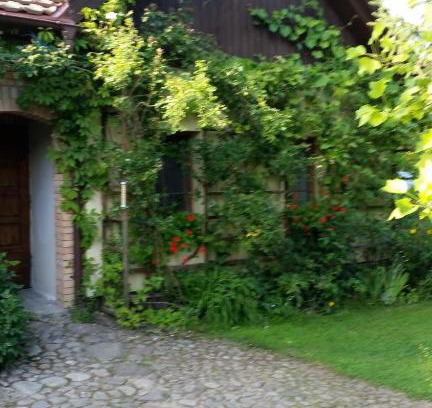 Lisewiec House | Żuławka