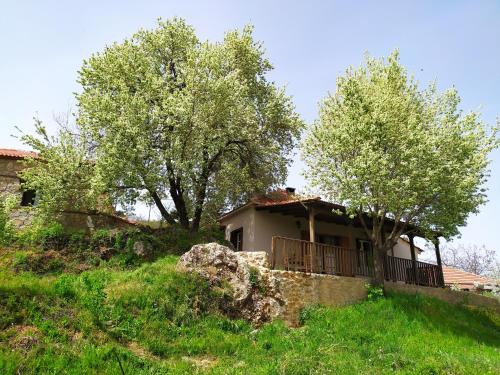Mesaia Trikala House | Μικρή Ζήρεια Ενοικιαζόμενη Κατοικία