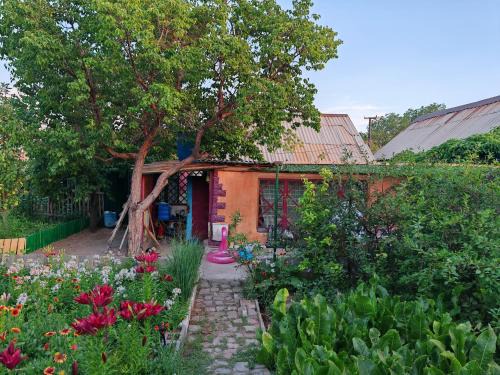 Balkhash House | Дачка возле озера