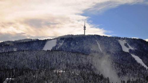 Pamporovo Apartment | Тайната квартира - The Secret apartment