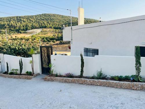 Ajloun House | بيت مستقل مطل على اجمل الغابات في عجلون