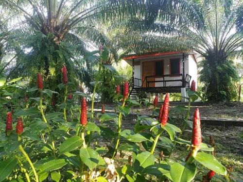 Sikao House | สบายคันทรีรีสอร์ท ปากเมงSa-buy country resort Pak Meng