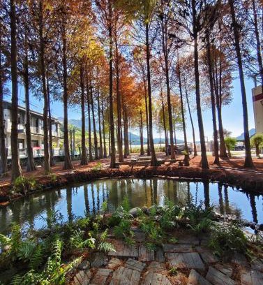 Guoxing Cabin | 寵物友善 漫步森活 九樺落羽松民宿