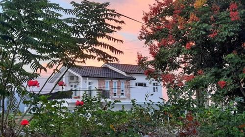 Sanxing Villa | 有貓匿鄉村咖啡館民宿