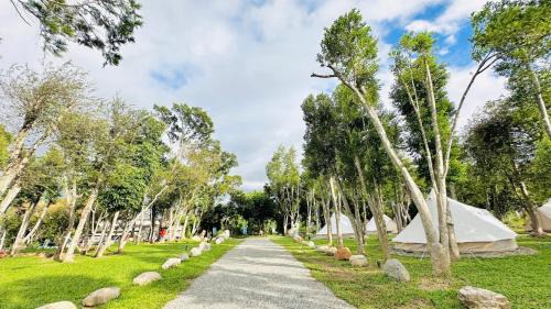 Luye Other | 軒沐居Campsite