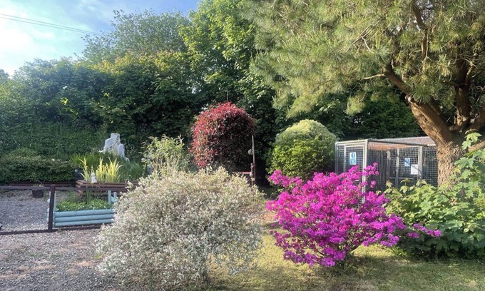 Camelford Cabin | 1 Bedroom Cabin Sleeps 2, Private Garden, Wifi