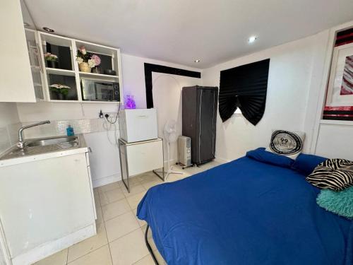 Datchet Apartment | 1 Bedroom studio