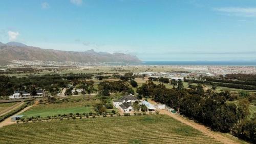 Helderberg Rural House | 13 Olives, Entire Grape & Olive Estate, Somerset West by Euphoric Leisure
