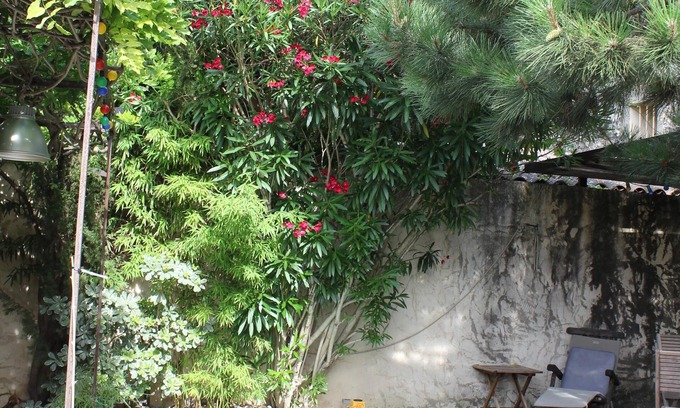 Noves Apartment | 18 Century Provencal Mas With Swimming Pool