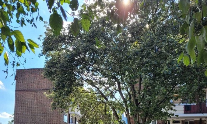 Prince's House | 2 Bed Apartment | Central London | Balcony | WIFI