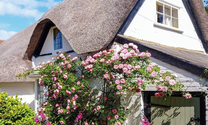 New Forest District Cottage | 2 bedroom accommodation in New Milton