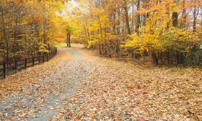 Nellysford Condo | 2 Fireplaces + Amazing Views