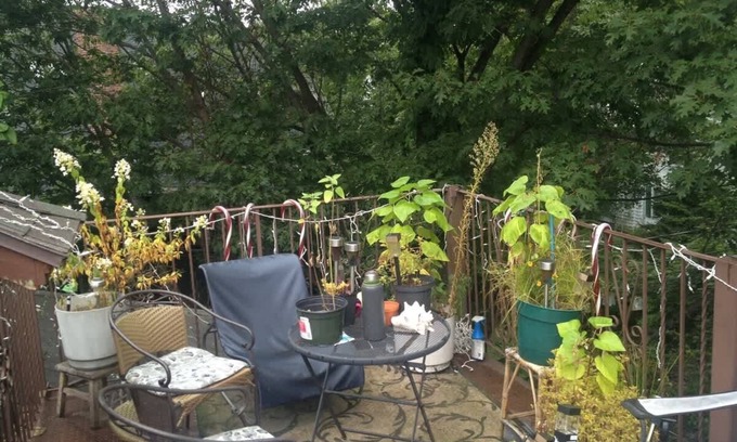 High Street Hill Apartment | 2 rooms close to Medical