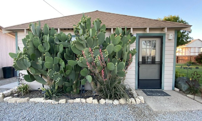 Santa Margarita House | 20 minutes from Carrizo Plain National Monument. Twisselman's Cactus Casa