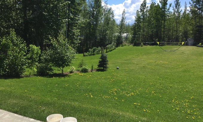 Wasilla House | 3 Bd-Beautiful Log Home w Garage & Yard in Central Wasilla