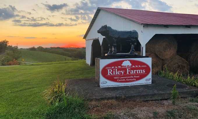 Jonesville House | 331 Acres of Comfort & Rest @Riley Farms, ❤ of the Bluegrass- 12 mins from ARK