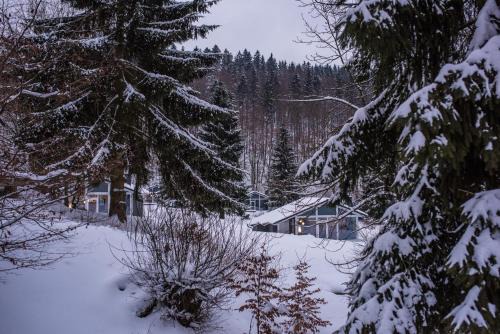 Ruhla House | 4 Personen mit Sauna F2H2