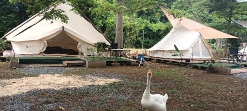 Phaya Yen Other | 5 meter belle tent for 5 people