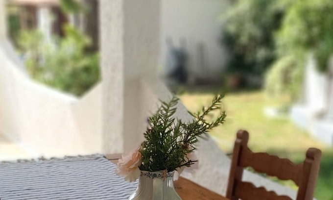 Katsarou Apartment | 5 min walk to the most popular & cheap Skiathos beach Trulos family apartment!