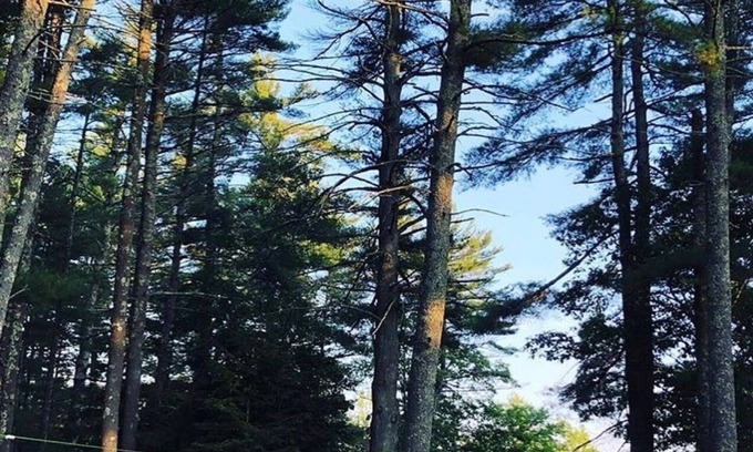 West Greenwich Cabin | 60's Heirloom Log Cabin on the water, Book Fall and warch the leaves turn 🍁