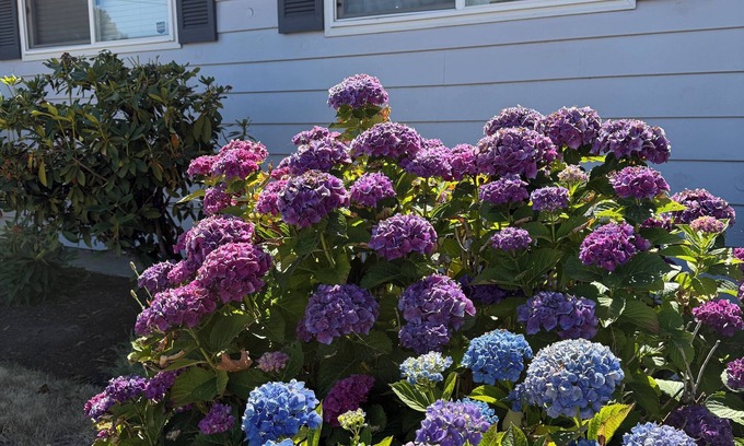 Salem House | 7 min to downtown Salem, Hospital, & Convention Center. 3bdrm 2.5 bath with WIFI