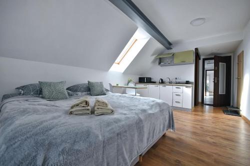 Lublin Apartment | 77 Krasnicka