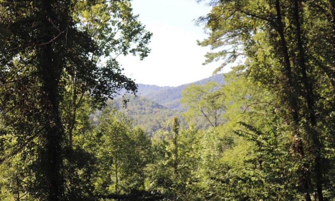 Bryson City Cabin | 9 Bear Den -2 Bedroom