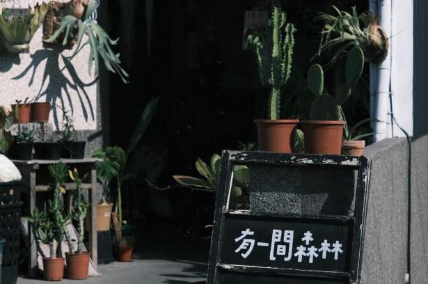 Xiaoliuqiu House | A Forest Homestay