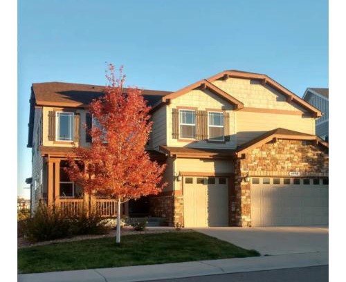 Tucson House | A new spacious walkout base in Castle Rock Colorado