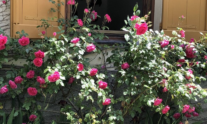Savignone Bed & Breakfast | A o Soâ B&B