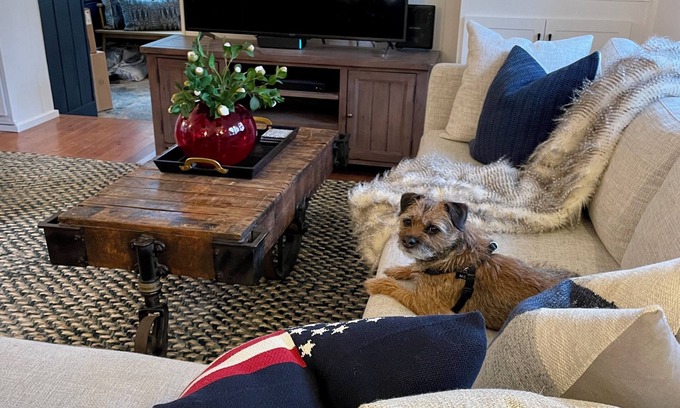 Saugatuck House | A Step Away: The Retreat – Walk to Town Escape