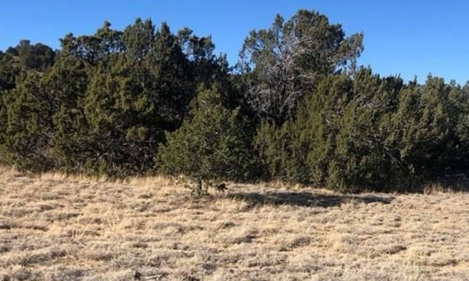 Walsenburg RV Rental | A Survivalist Experience - Bring your own everything