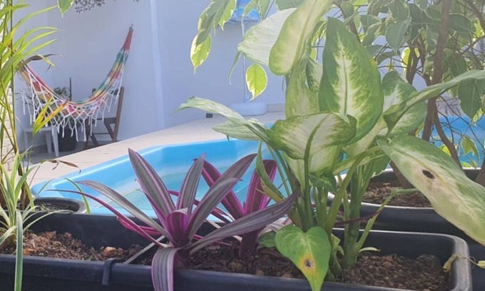 Jardim Imperador House | Accommodates 6p - Air, Wifi and Pool