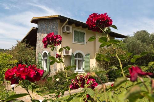 Corfu House | Achilles Country House