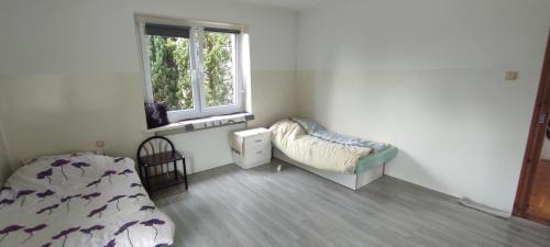 Fabryczna House | Adam room 1