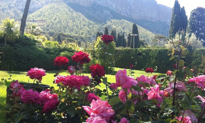 Cassis Apartment | Adorable apartment in a absolute calm garden luxury residence near sea village