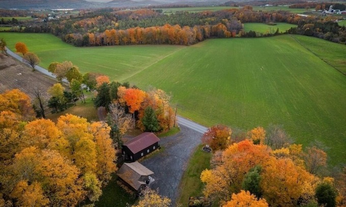 Warren Cabin | Adorable Cabin. Cozy & comfy. Coffee bar, firepit, horseshoes, hammock, grill