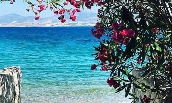 Bodrum City Center Bed & Breakfast | Agan Pansiyon