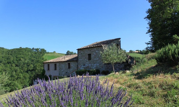 Monterosso Apartment | Agriturismo Carincone