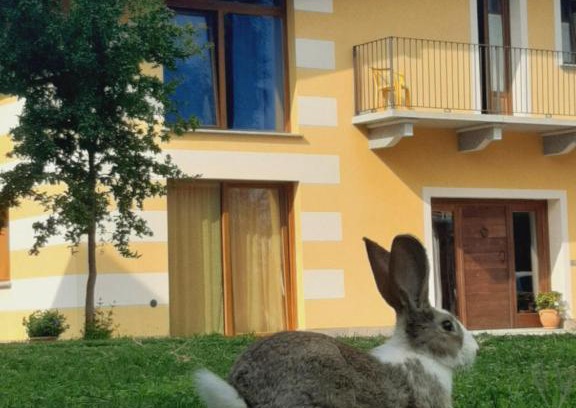 Dronero House | Agriturismo Fior Di Campo