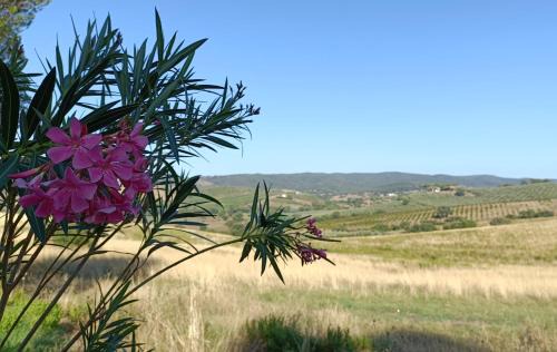 Grosseto Apartment | Agriturismo Fosso Torto