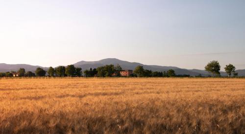 Piombino House | Agriturismo Il Pescinone