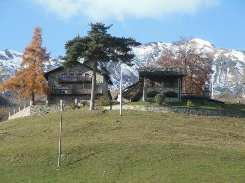 Viu House | AGRITURISMO IL RUNCH DI MAJRANO LUCA