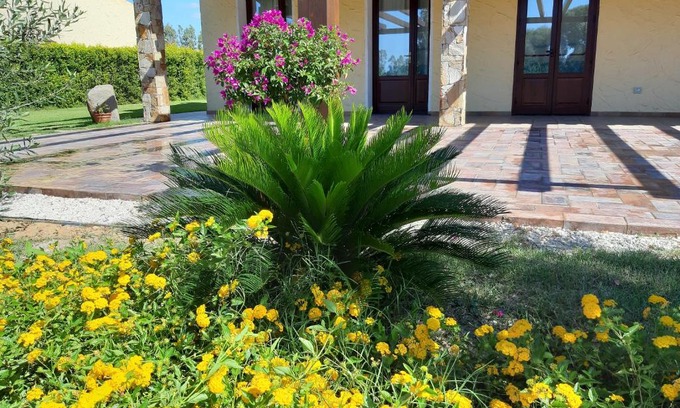 Masainas Bed & Breakfast | Agriturismo Is Solinas