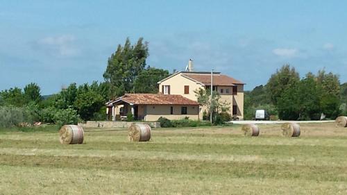 Massa Marittima House | Agriturismo Podere La Cascata