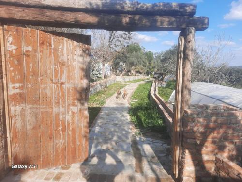 Selcuk Other | Ali dede kamp karavan bungalow