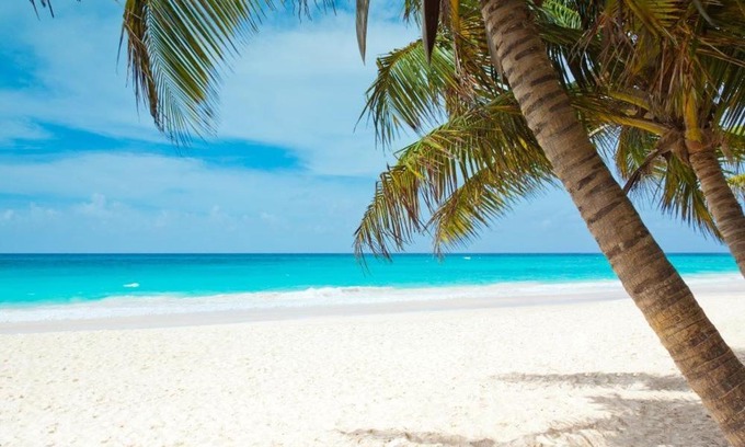 South Bradenton Apartment | All season paradise in Cortez