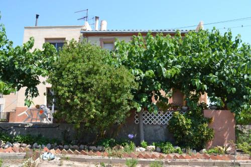 Deltebre House | Allotjament Casa M Cinta
